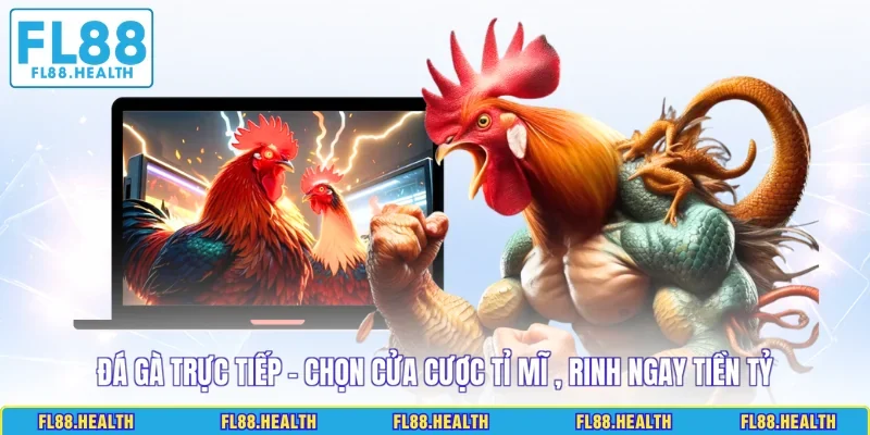 Đá Gà Trực Tiếp - Chọn Cửa Cược Tỉ Mĩ , Rinh Ngay Tiền Tỷ