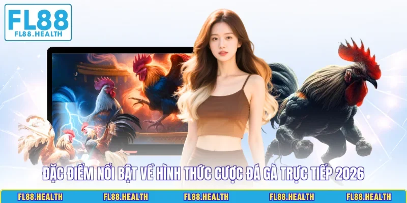 Đặc điểm nổi bật về hình thức cược đá gà trực tiếp 2026
