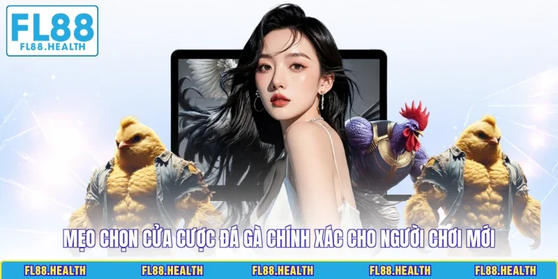 Mẹo chọn cửa cược đá gà chính xác cho người chơi mới